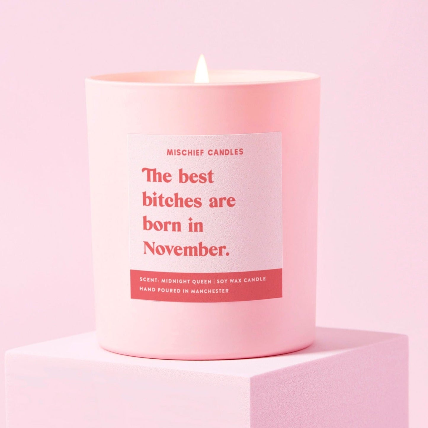 "November" Birthday Bitch Gift Candle
